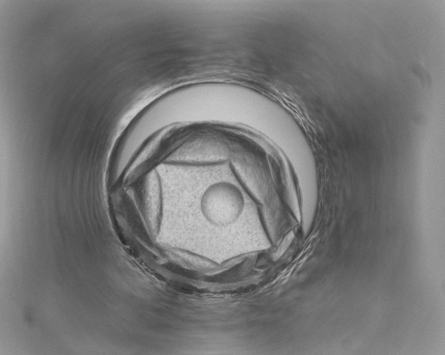 X0000114530292200911161342