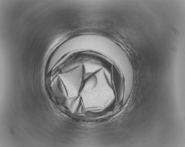 X0000114530293200911161342