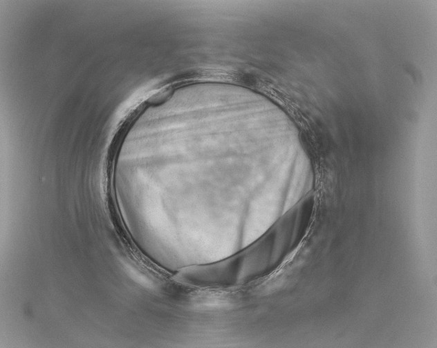 X0000114530294200911161342