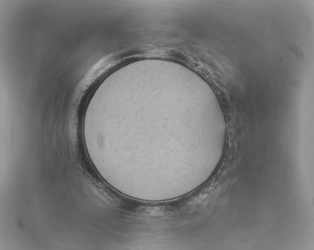 X0000114530295200911161342