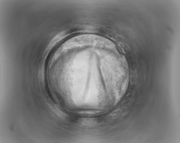 X0000114530296200911161342