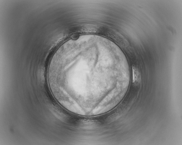 X0000114530300200911161342