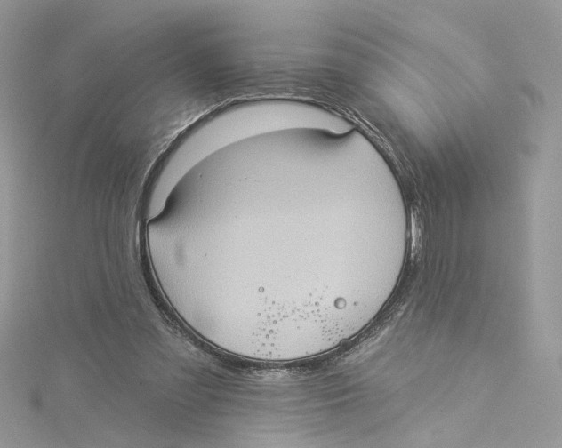 X0000114530301200911161342