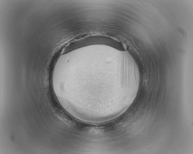 X0000114530303200911161342