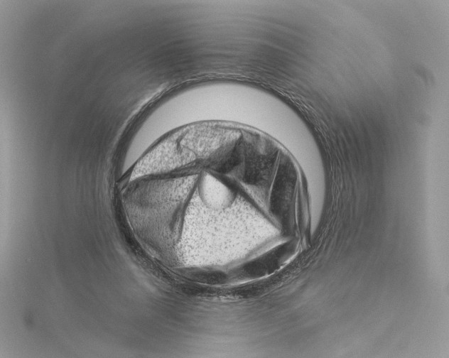 X0000114530304200911161342