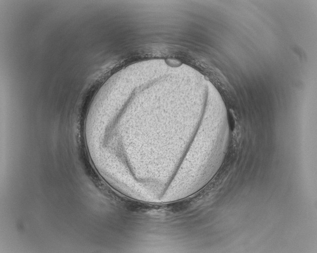 X0000114530306200911161342