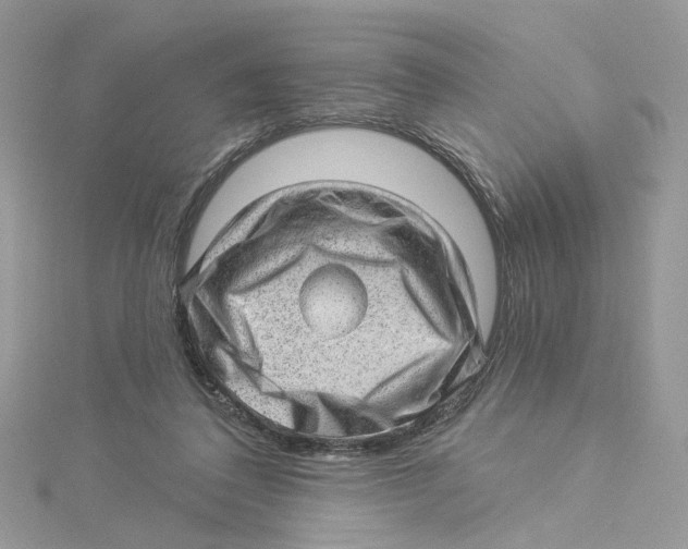 X0000114530308200911161342