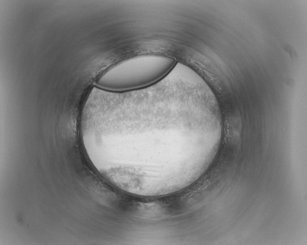 X0000114530309200911161342