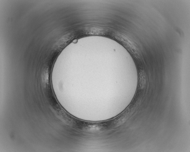 X0000114530310200911161342