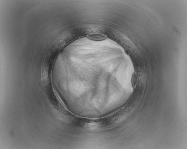 X0000114530312200911161342