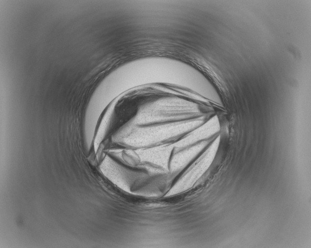 X0000114530313200911161342