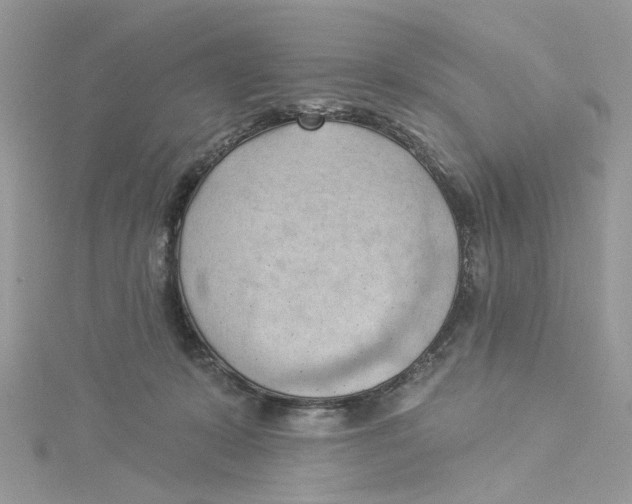 X0000114530319200911161342