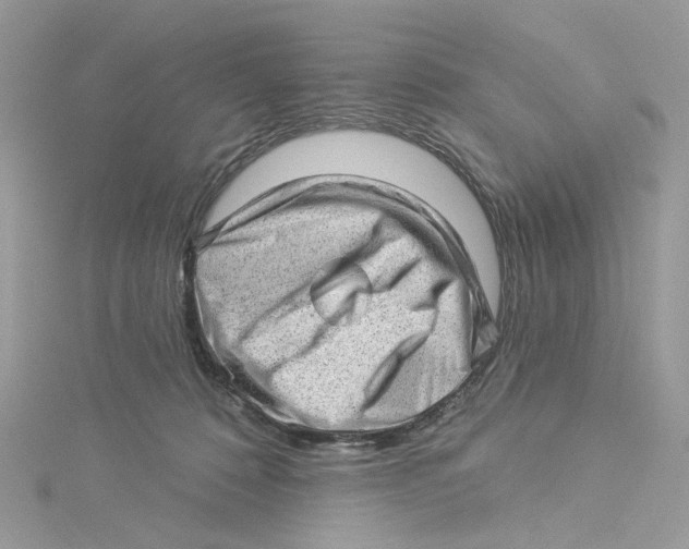 X0000114530320200911161342