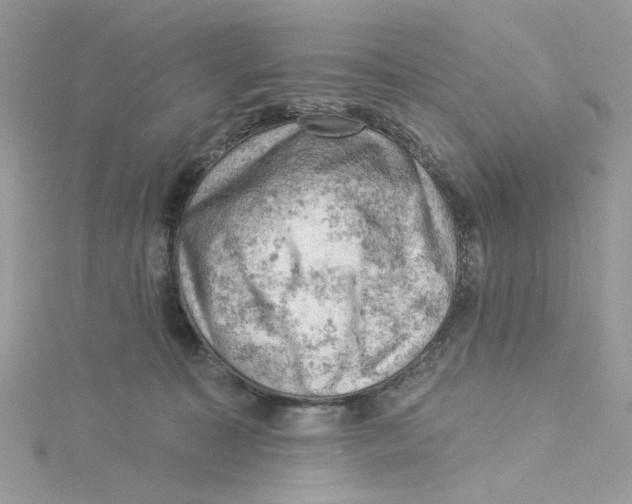 X0000114530323200911161342