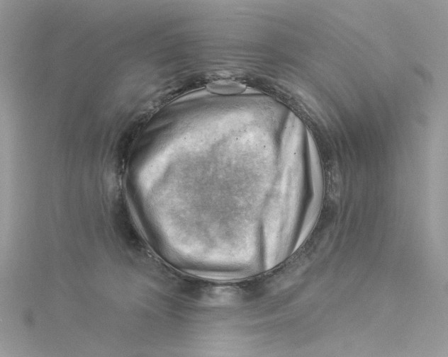 X0000114530324200911161342