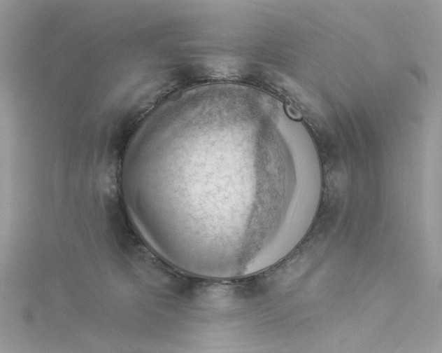 X0000114530325200911161342