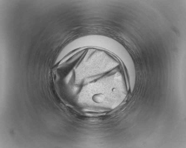 X0000114530327200911161342