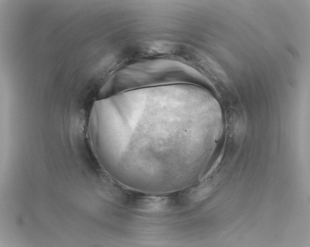 X0000114530328200911161342