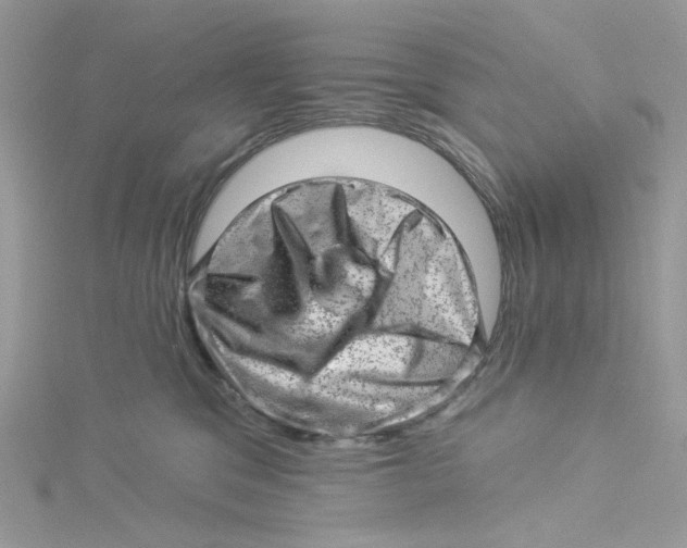 X0000114530329200911161342