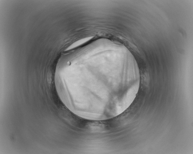 X0000114530331200911161341