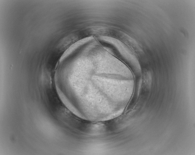 X0000114530333200911161341