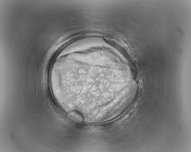 X0000114530343200911161341