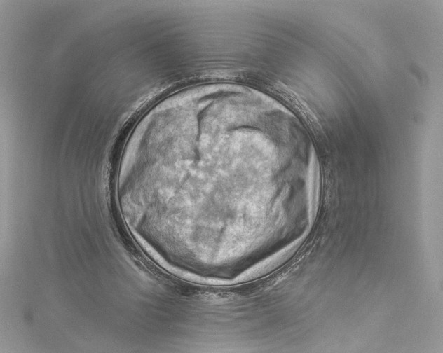 X0000114530346200911161341