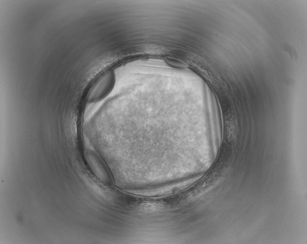 X0000114530350200911161341