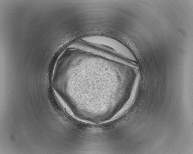 X0000114530354200911161341