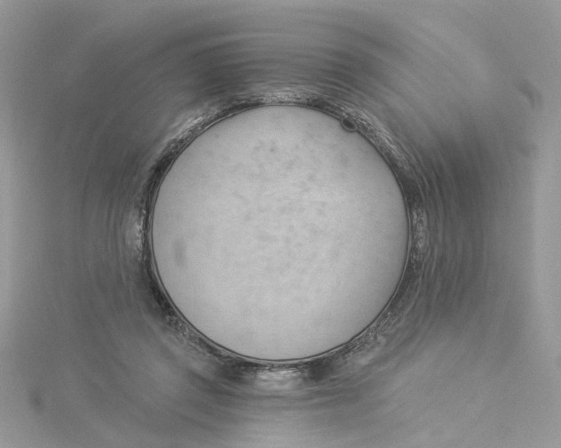 X0000114530357200911161341