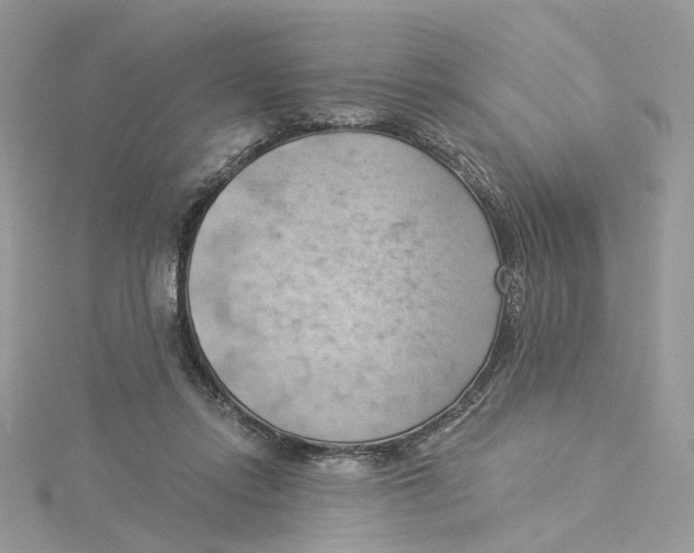 X0000114530358200911161341