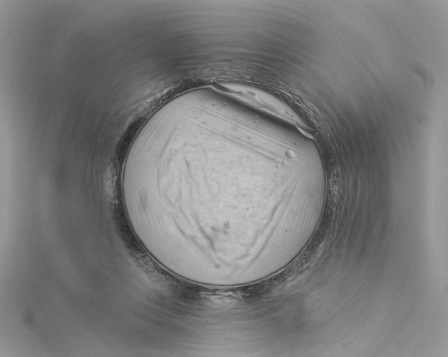 X0000114530359200911161341