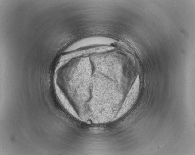 X0000114530362200911161341