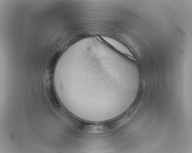 X0000114530366200911161341