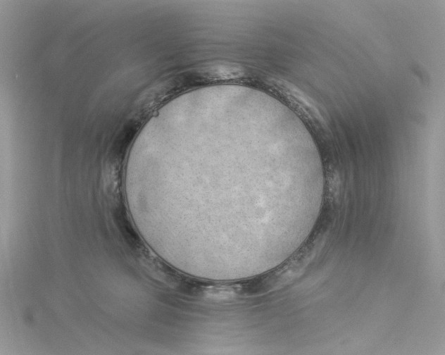 X0000114530373200911161341