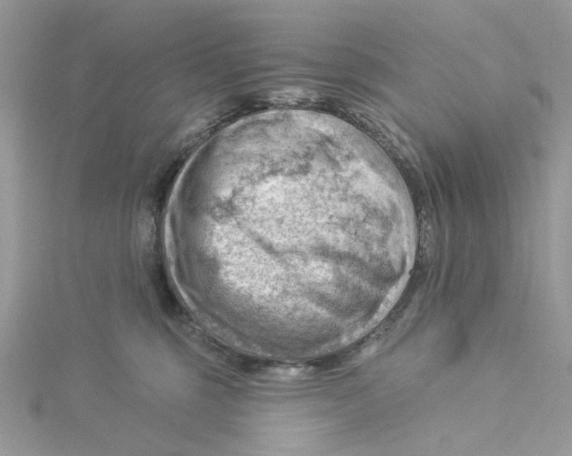 X0000114530375200911161341