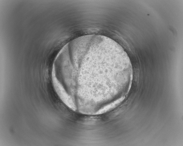 X0000114530378200911161341