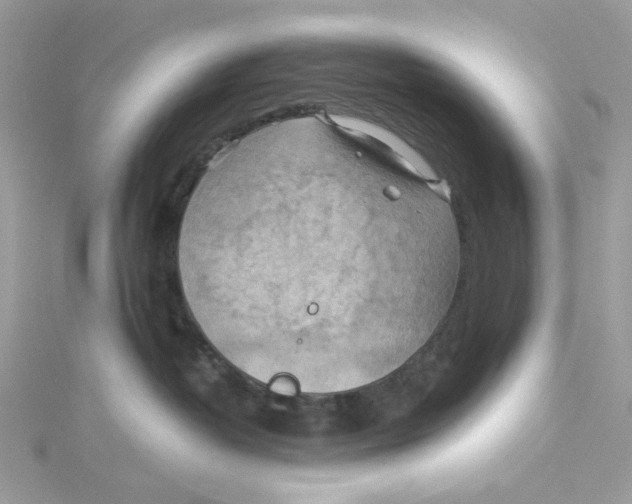 X0000114530382200911161341