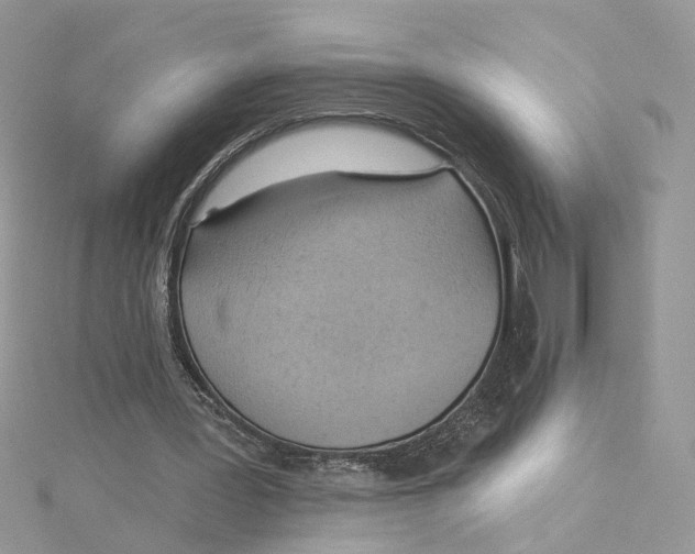 X0000114530387200911161341