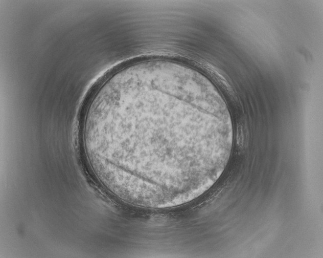 X0000114530388200911161341