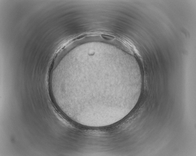 X0000114530389200911161341