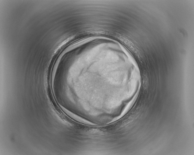 X0000114530390200911161341