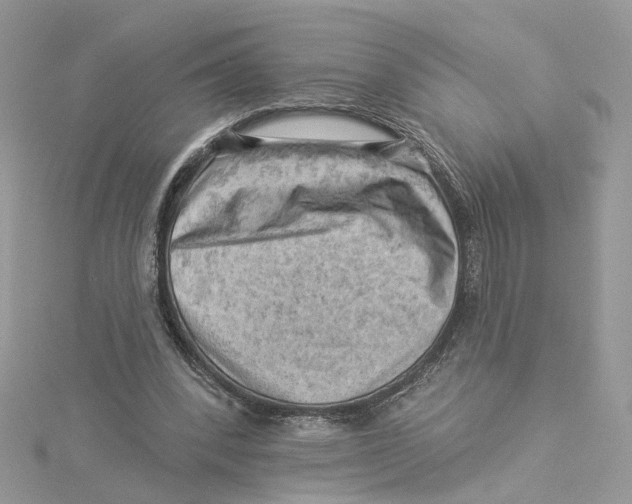 X0000114530392200911161341