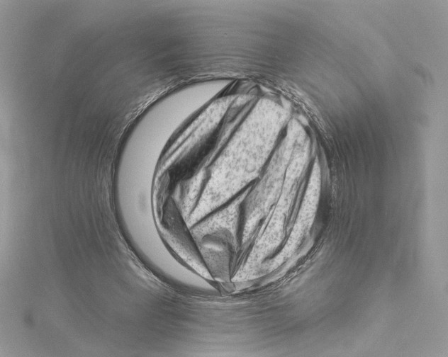 X0000114530393200911161341