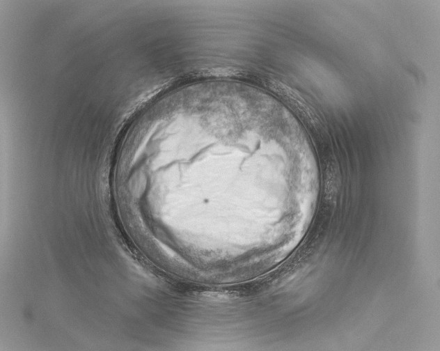 X0000114530394200911161341