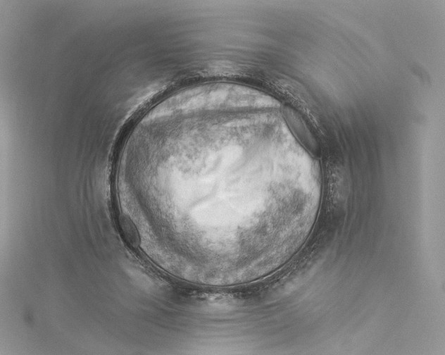 X0000114530395200911161341