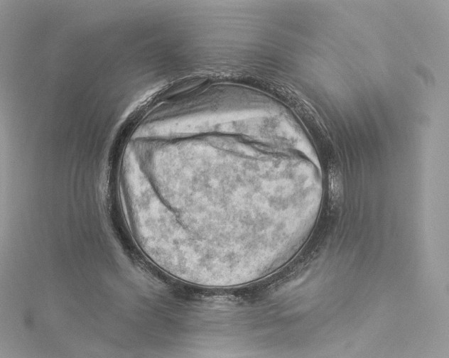 X0000114530396200911161341