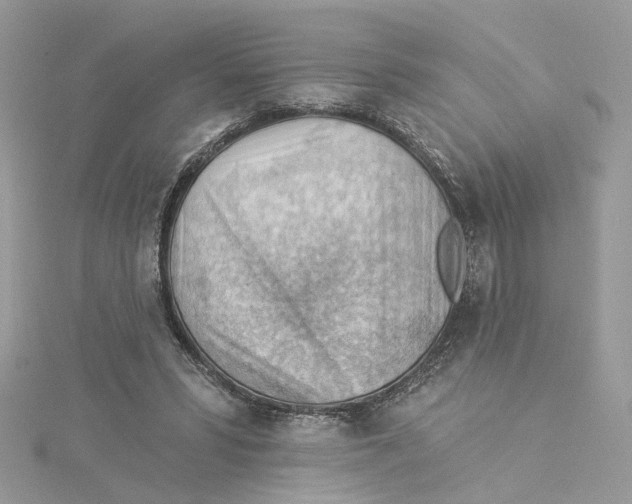 X0000114530399200911161341