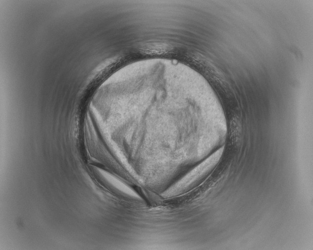 X0000114530400200911161341