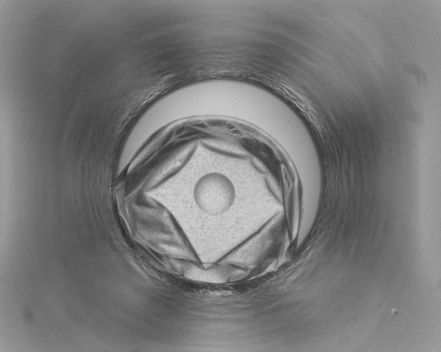 X0000114530401200911161341